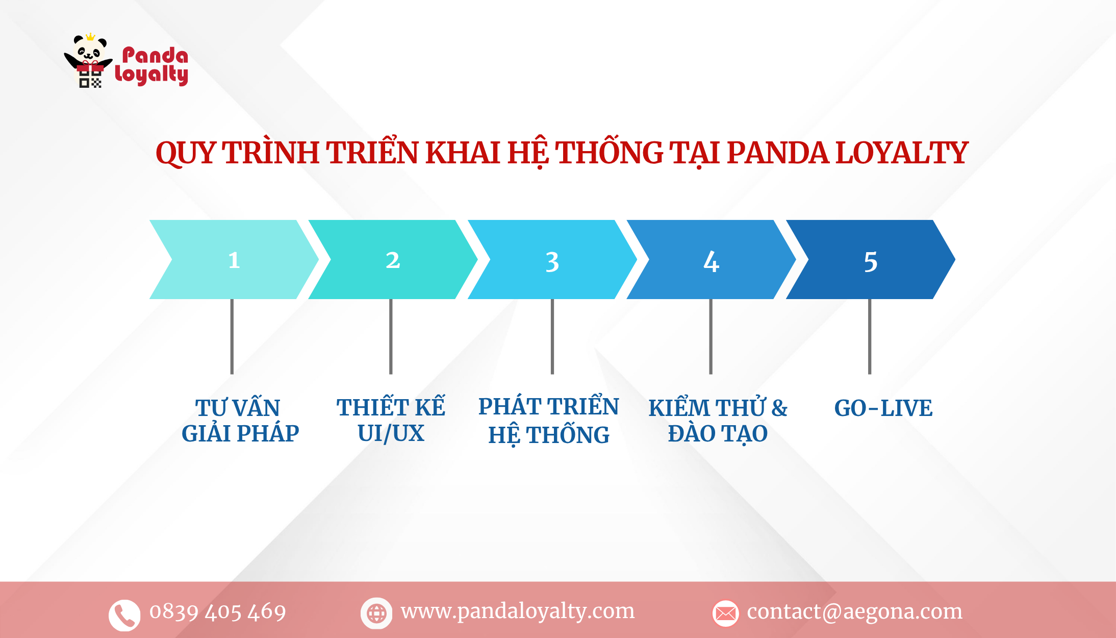 Quy trình triển khai hệ thống tại Panda Loyalty